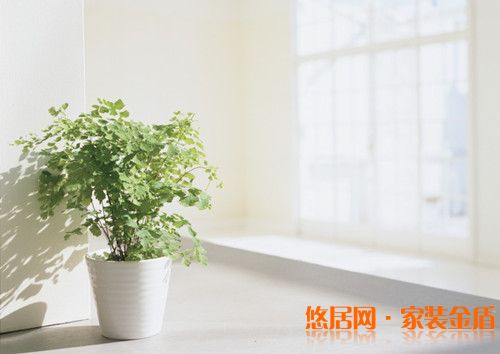 打造健康家居环境采光要好