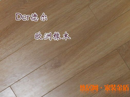 德尔地板欧洲橡木1