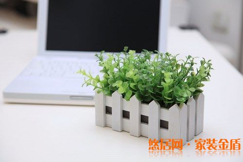 室内盆栽选择有哪些讲究?