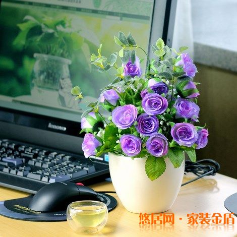 室内盆栽选择有哪些讲究?